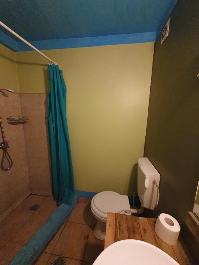 Zen Hostel Cluj Napoca Bagian luar foto
