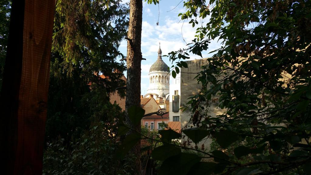 Zen Hostel Cluj Napoca Bagian luar foto