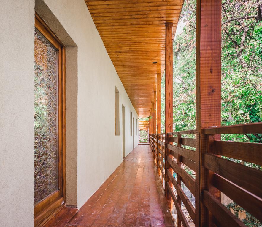 Zen Hostel Cluj Napoca Bagian luar foto